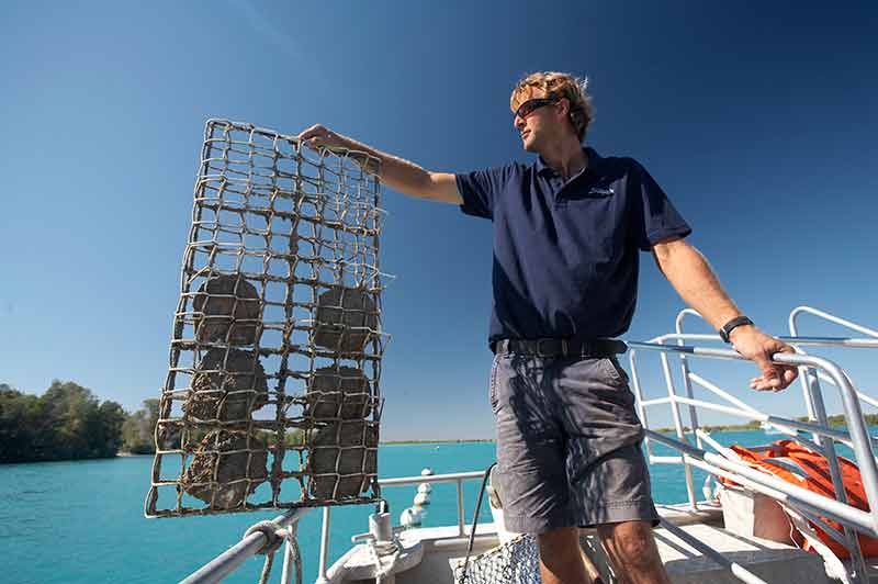 a pearl farm tour is a top thing to do in Broome WA