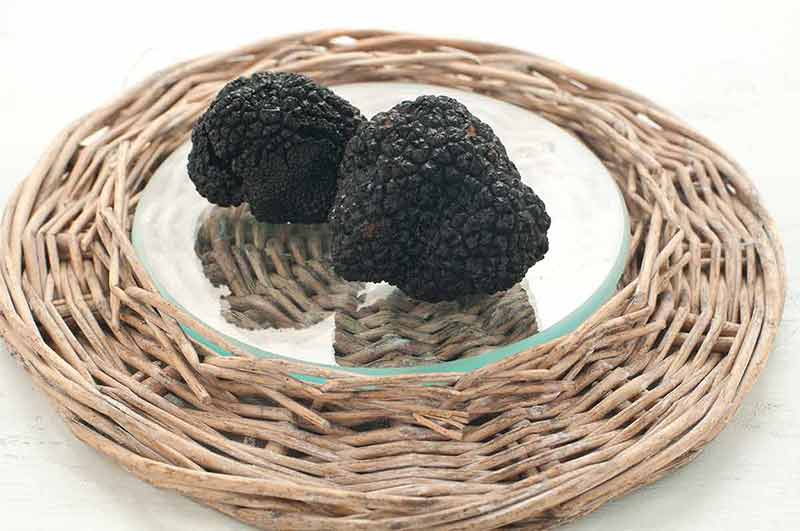 Winter in Italy Black winter truffles on a glass plate