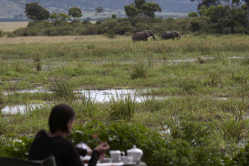 Masai Mara Governor's Camp dining