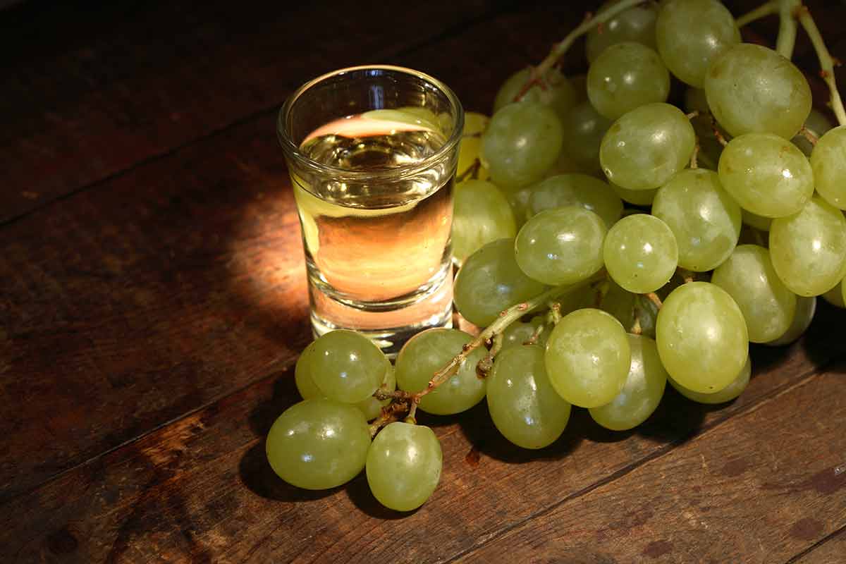 after dinner drinks italian shot of grappa and green grapes