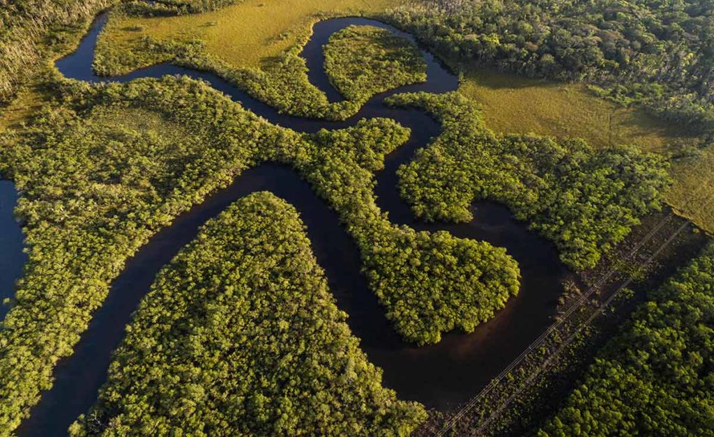 amazon riveri brazil
