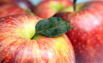 apple in bc