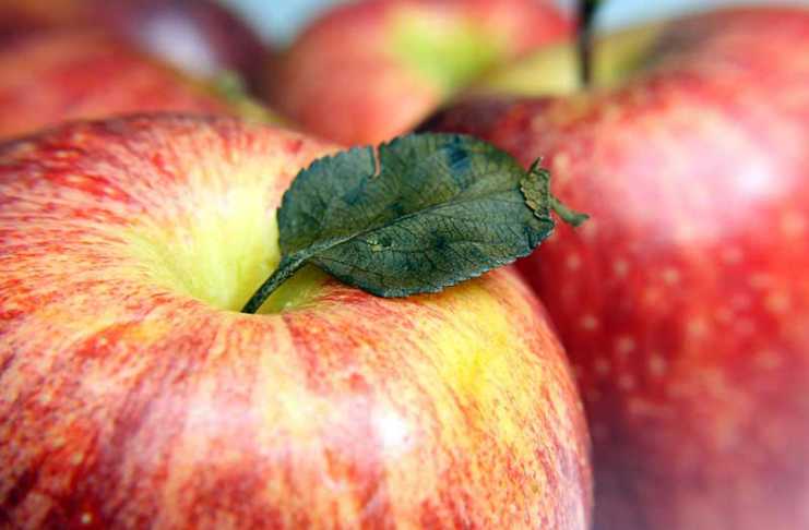 These Apple Dumpling Bombs Are Pure Dessert Perfection apple in bc