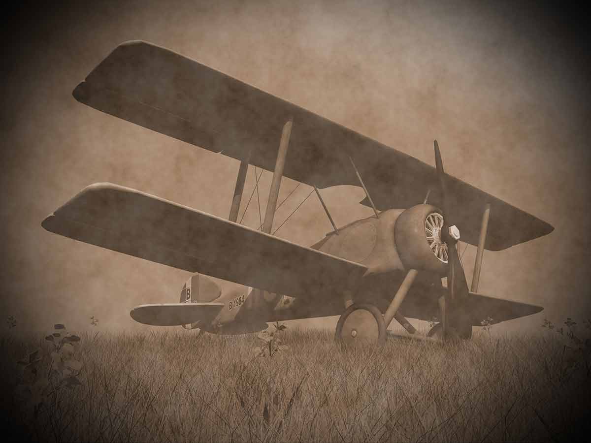 are there any national parks in north carolina Vintage image of a biplane standing on the grass with flowers