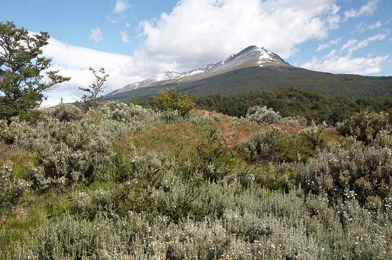 argentina national parks tierra del fuego