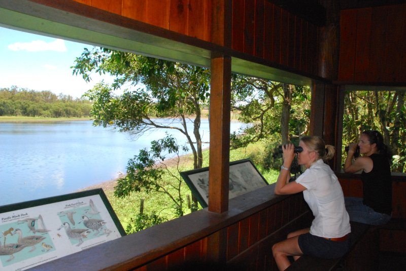 things to do on the atherton tablelands 