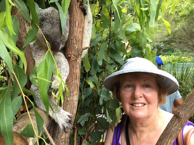 australian zoo koala selfie