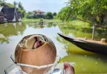 Bangkok’s Floating Market That Most Tourists Never Find khlong lat mayom floating market