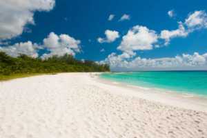 20 Barbados Beaches For Your Bucket List In 2026