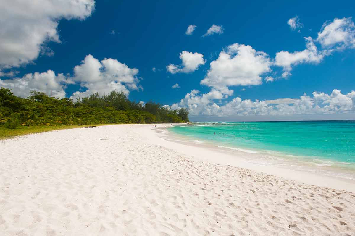 barbados nude beaches white sand and vegetation on Drill Beach