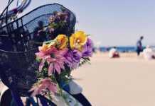 barcelona bike tours
