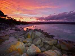 bay of fires binalong bay beach sunset