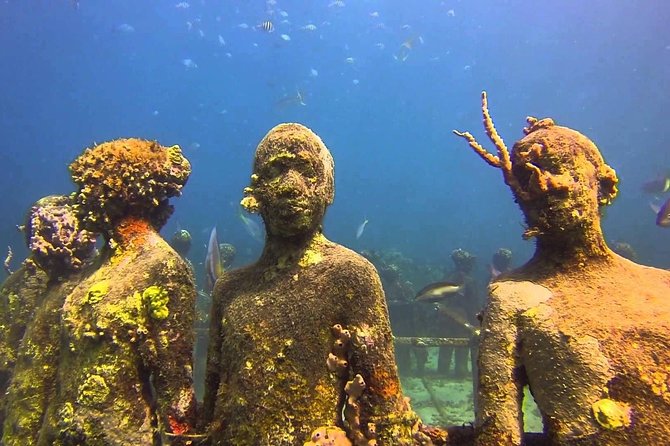 4 hour snorkel cruise to Underwater Sculptures with boat dogs