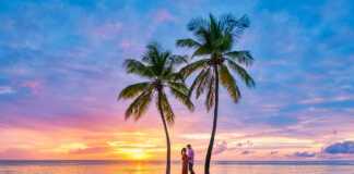 couple standing under coconut trees on a beach at sunset