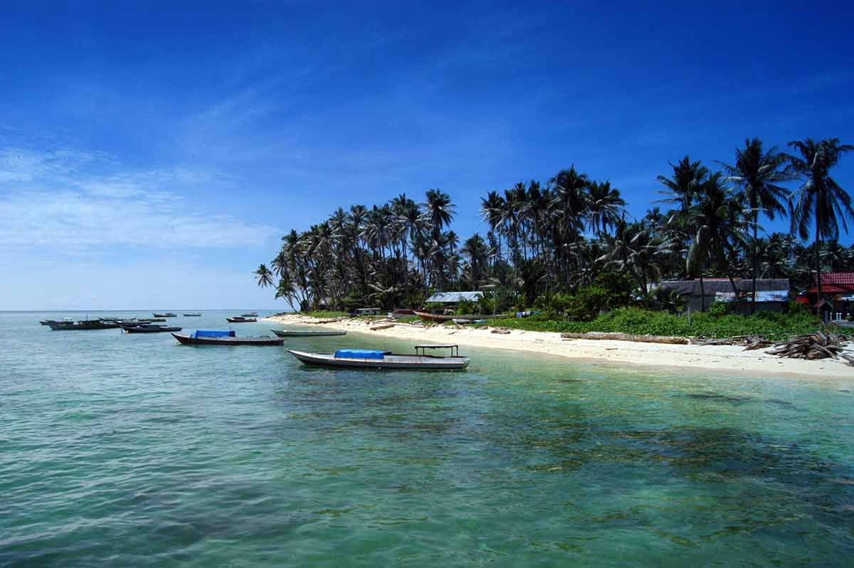 beaches in indonesia coconu trees, beach and boats