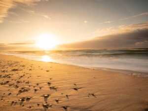 20 Beaches In Missouri For your 2026 Bucket List