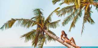 beaches in sri lanka girl in bikini sitting on a palm tree