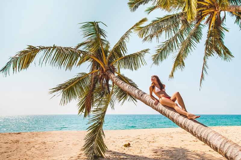 beaches in sri lanka girl in bikini sitting on a palm tree