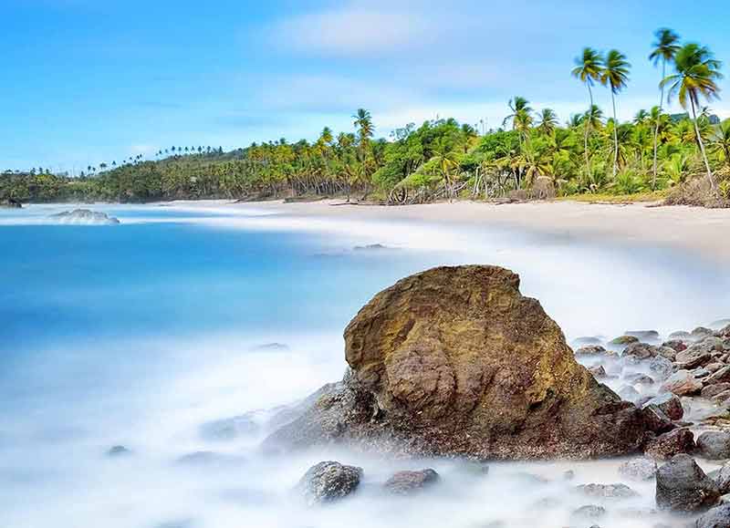 beaches in trinidad and tobago rocks, water and tropical forest