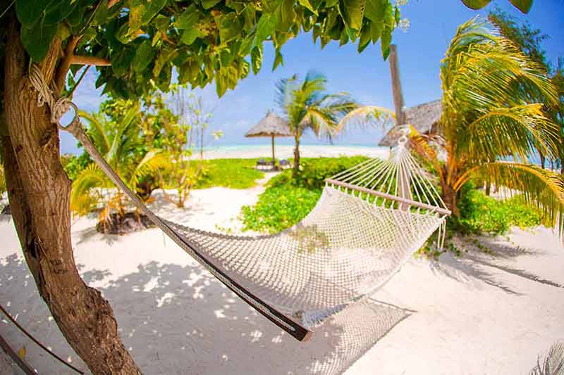 beaches resort grenada Palm trees with hammock on white sand beach