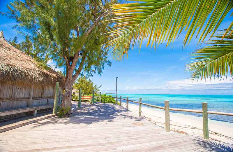 beaches turks and caicos address Tropical beach with palms and white sand