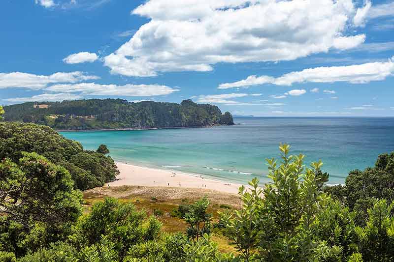 beautiful beaches in new zealand a few people on the beach wide view from a distance