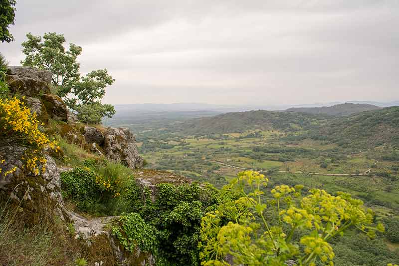 Nature and landscape in San Martin de Trevejo area