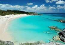 Pink Beach In Bermuda Islands