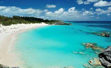 Pink Beach In Bermuda Islands