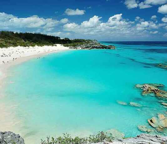 Pink Beach In Bermuda Islands