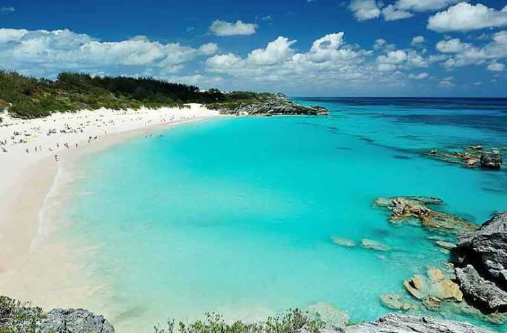 Pink Beach In Bermuda Islands