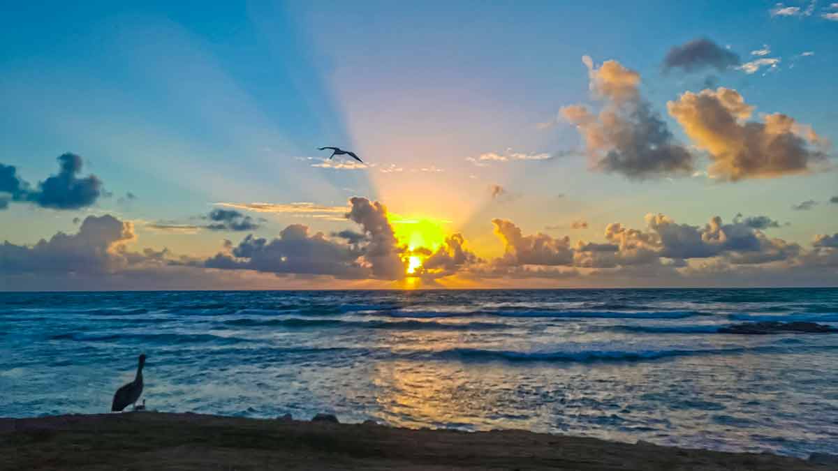 Golden colorful sunrise sunset with sunbeams