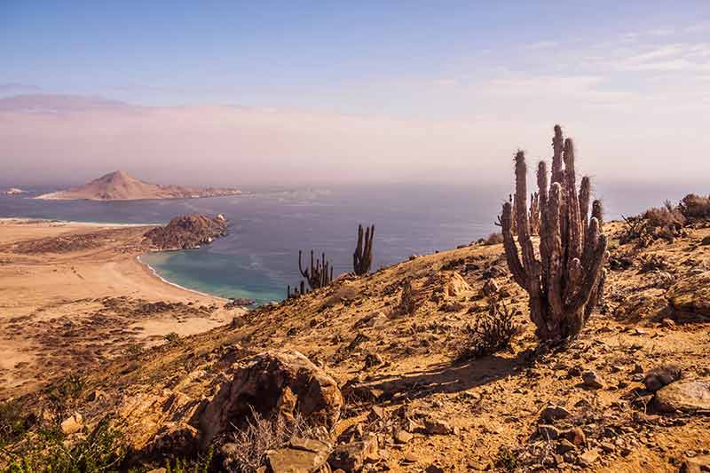 best beaches chile landscape of cactii above a beach and bay