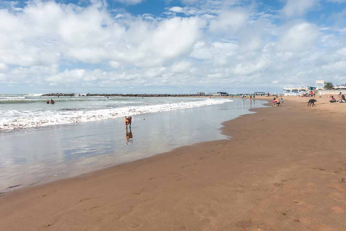 best beaches in argentina mar del plata people and dog on the beach