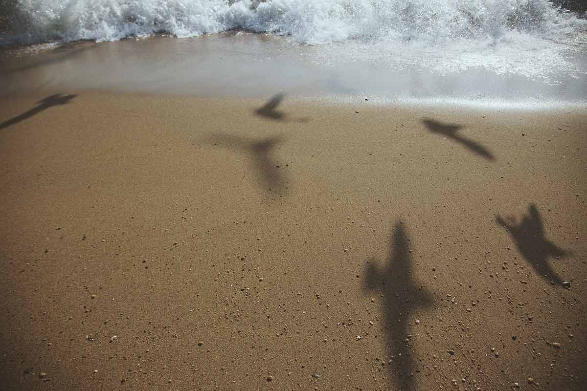 best beaches in china waves, sand and seagull shadows on a deserted beach