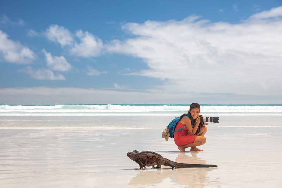 best beaches in ecuador Travel adventure tourist nature photographer on Galapagos beach with Iguana