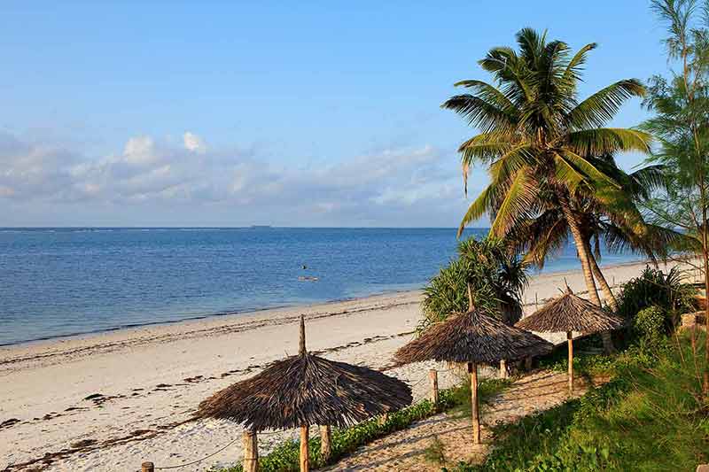 best beaches in kenya thatched umbrellas, palm trees and sand