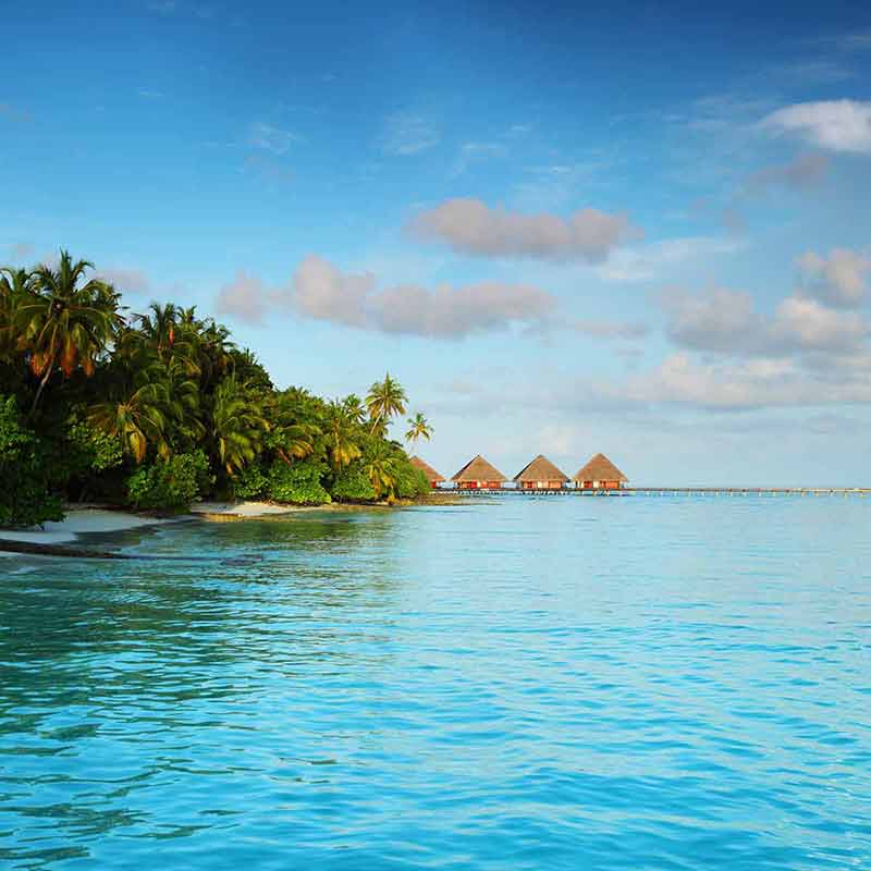 best beaches in the maldives Maldives landscape, ocean palm sky