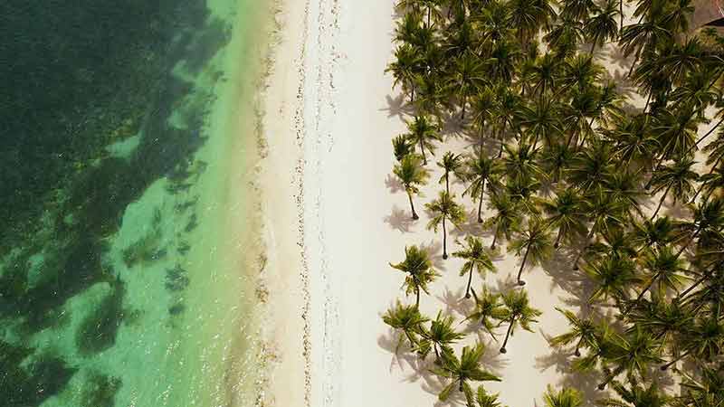 best beaches philippines Tropical landscape: island with beautiful beach, palm trees by turquoise water.