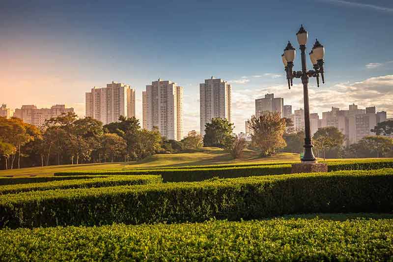 Park Barigui In Curitiba At Sunrise With Buildings And Street Light, Brazil