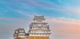 Himeji Castle And Full Cherry Blossom