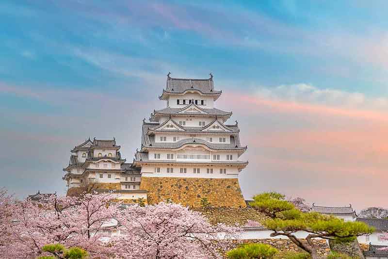 Himeji Castle And Full Cherry Blossom