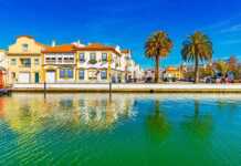 20 Gorgeous Cities In Portugal You’ll Want To Visit Before Everyone Else Does the small city of Aveiro in Portugal water, buildings and palm trees