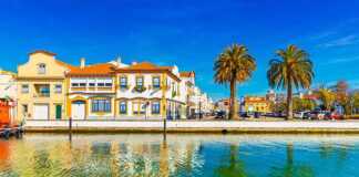 20 Gorgeous Cities In Portugal You’ll Want To Visit Before Everyone Else Does the small city of Aveiro in Portugal water, buildings and palm trees