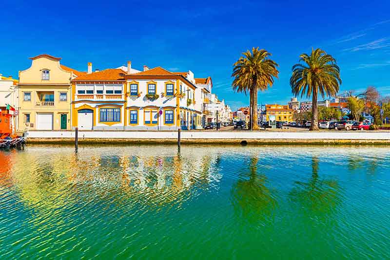 the small city of Aveiro in Portugal water, buildings and palm trees