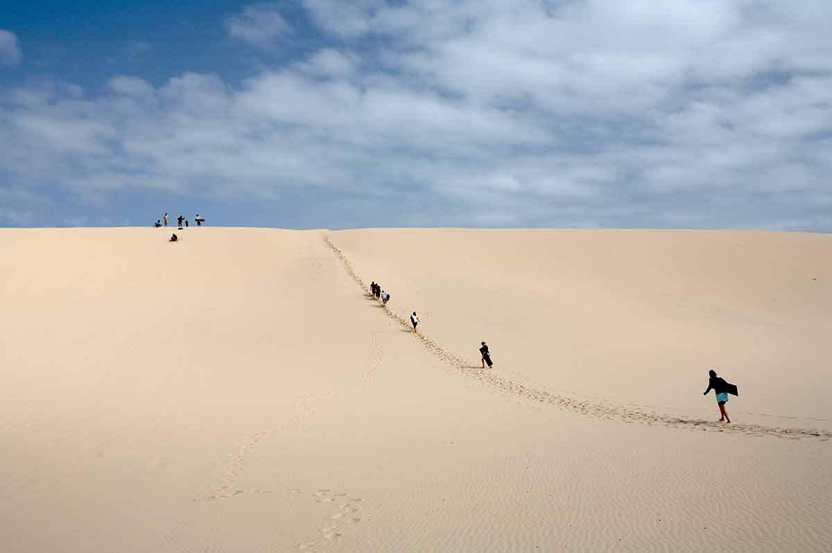 best day trips from brisbane line of people walking up sand dune