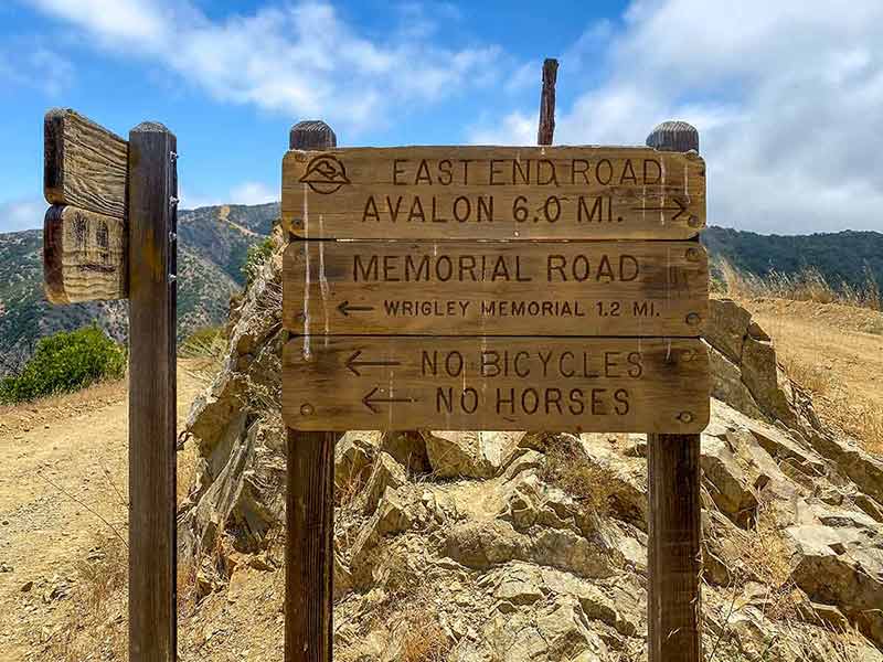best day trips from los angeles trips Wooden sign board with direction on the hiking trails on the top of Santa Catalina Island mountains.