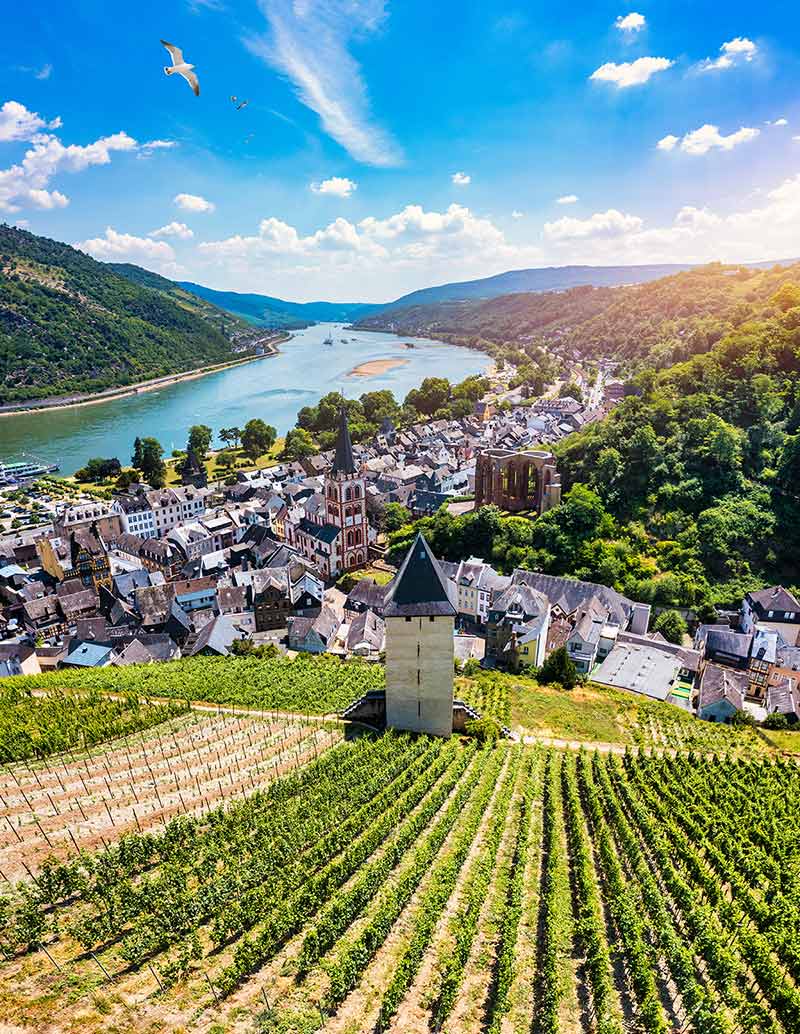 Bacharach Is A Small Town In Rhine Valley In Rhineland-Palatinate
