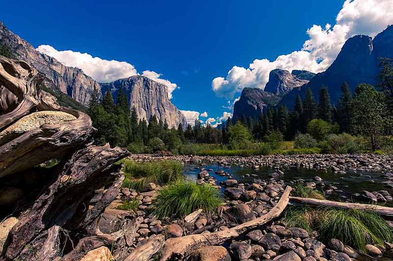best national parks in california