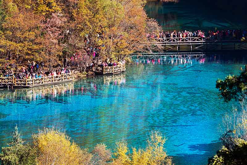 Five Flower Lake Is Lake In Jiuzhaigou